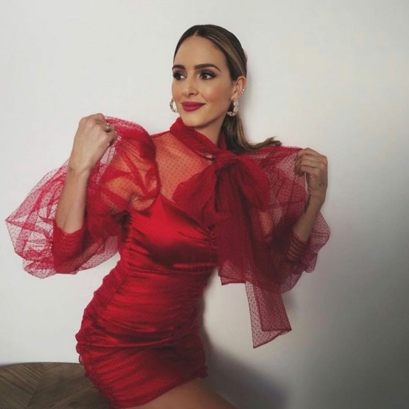 ZARA | Bloggers Fave Tulle Swiss Dot Dress Fuchsia - Picture 7 of 16